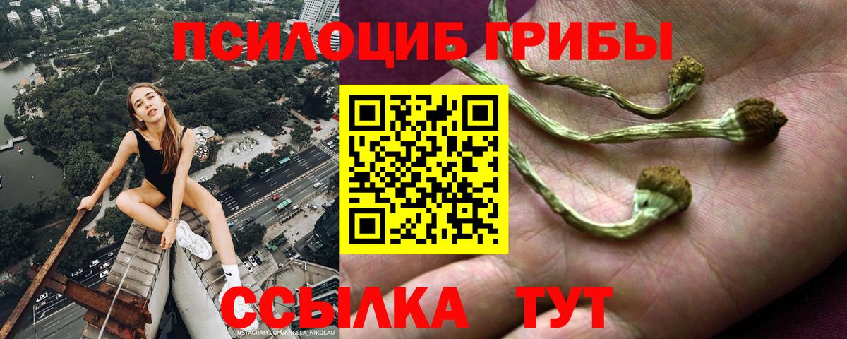 Псилоцибиновые грибы MAGIC MUSHROOMS  Псилоцибиновые грибы Psilocybe  Чебаркуль  Вход с VPN 